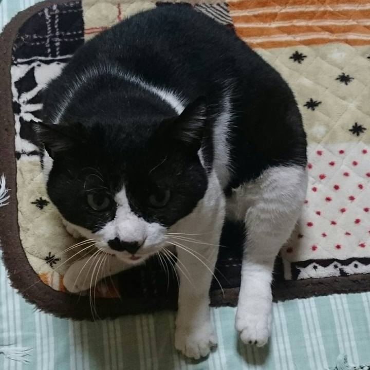 658bd308 1cb9 4317 b728 f03cbfa858c4 1524096043530