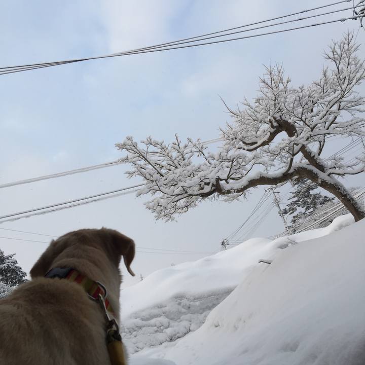 658bda99 d123 407d 902e ab085deb7a5f 1519254854057