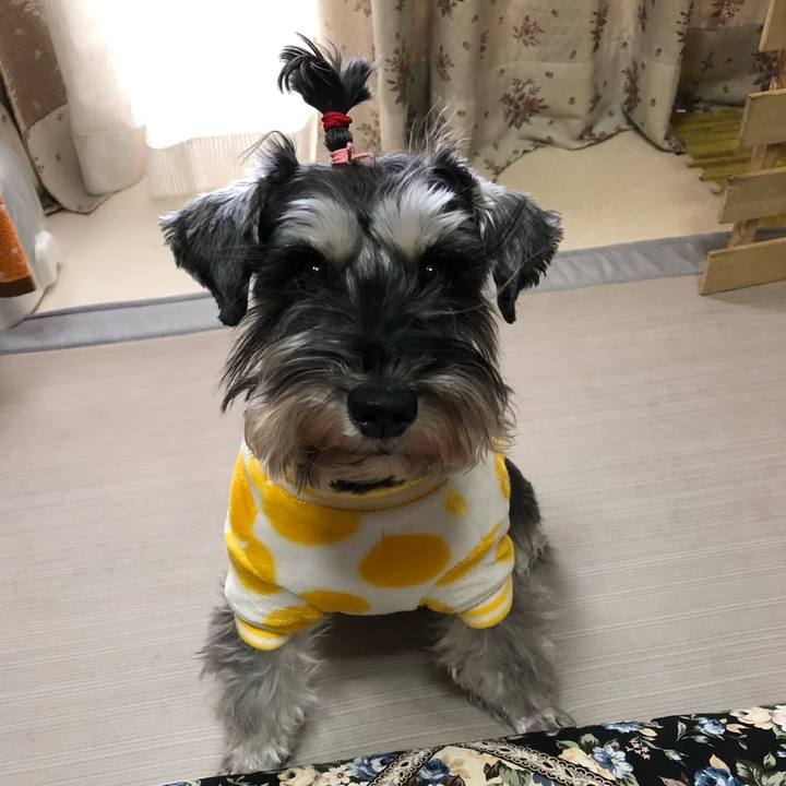 658c1710 61ba 4544 ab6f a6c1a538893f 1609469294585