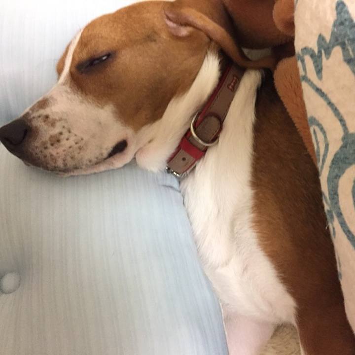 658c7737 1d55 4a75 8eb0 bd875f4600ed 1522243097073