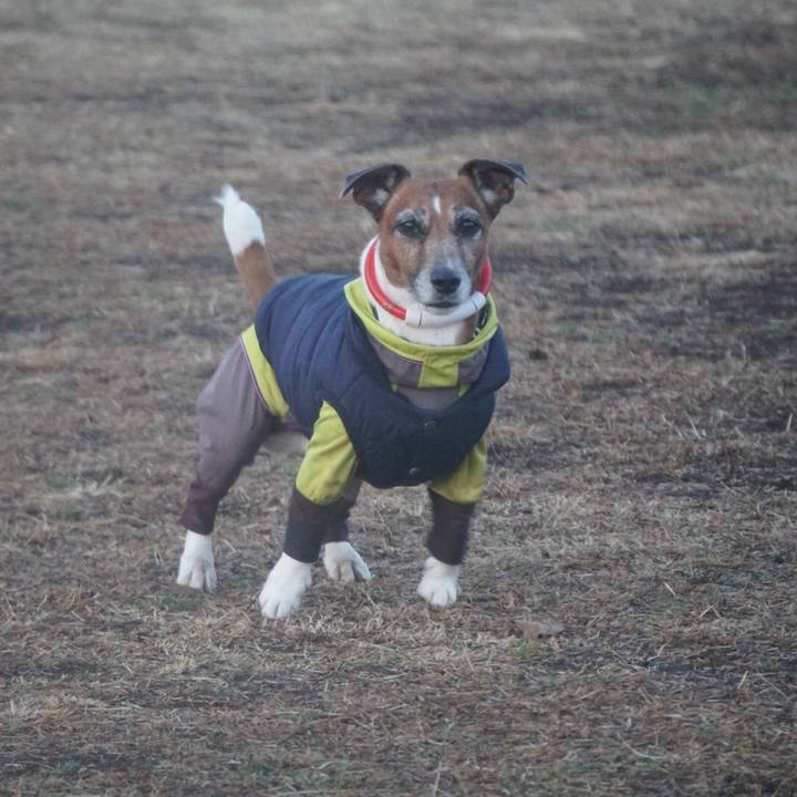 658c9cda ec3a 4296 8998 fa9db5c6163c 1611529425128