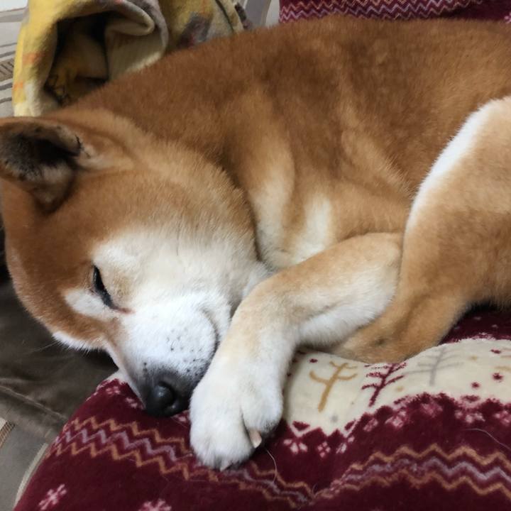 658cfc99 e61f 4d42 8afd 475fad590dfe 1555682933157