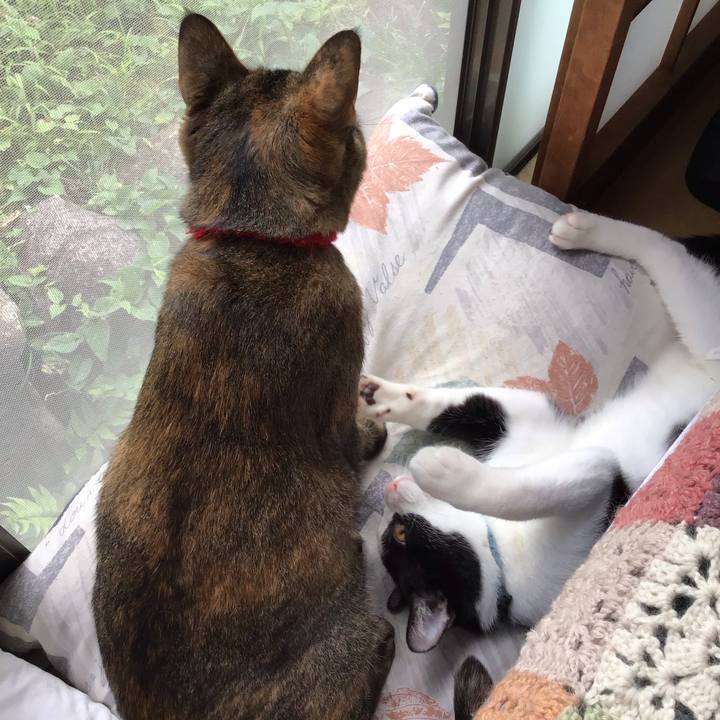 658cfeec b854 47c4 84e2 5ca7529f4937 1631333739308