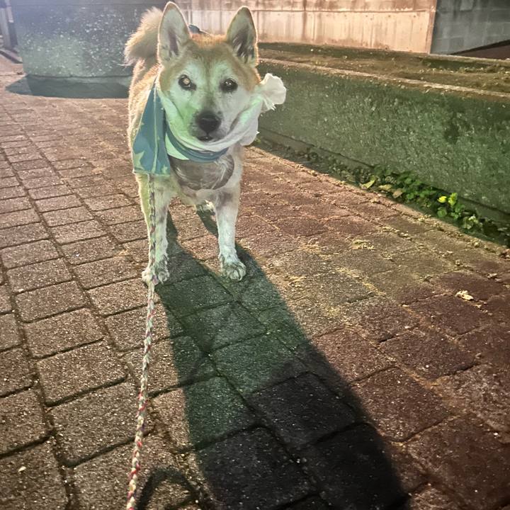 658d1d51 122f 405d aee2 b8e5fa2ae2c2 1764321832251