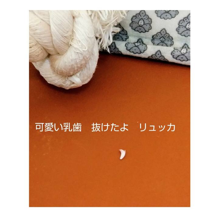 658d1dad 9a01 4cb9 9221 78d8e6c00963 1704498182585