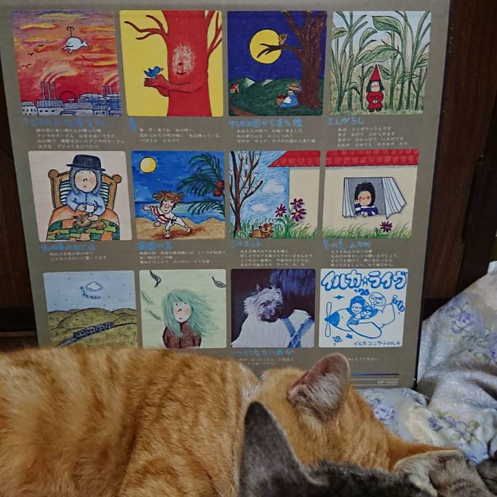 658d4b48 87fd 42f6 8ece 62b5d1e91373 1588162434633