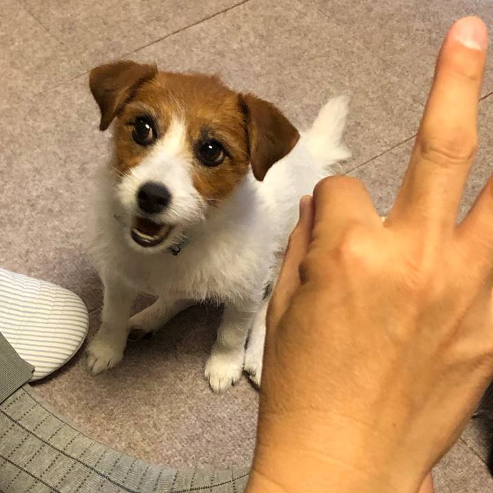 658d63a5 8c7a 4955 86df 5b71ebbe7526 1560687064478