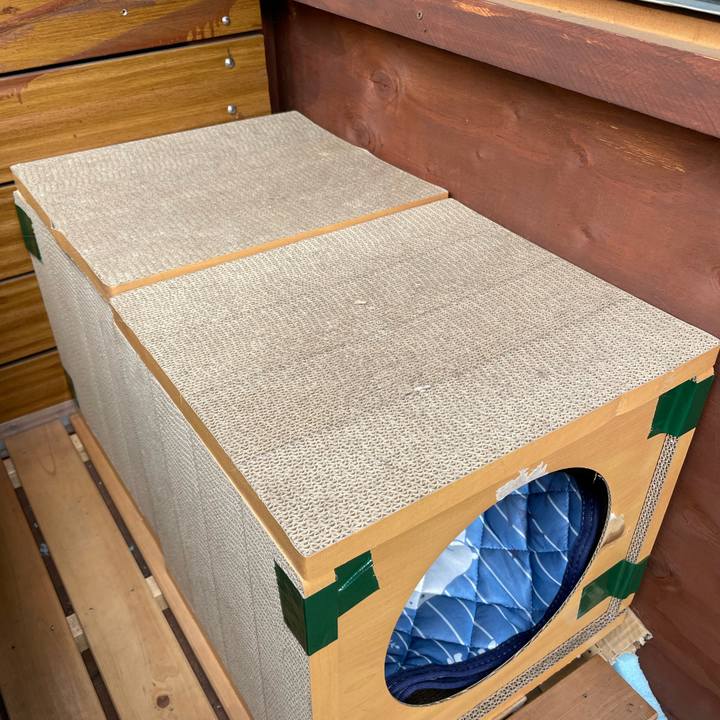 658d67ef 65d5 4fe5 84d1 3b7acbc8f191 1680599094402