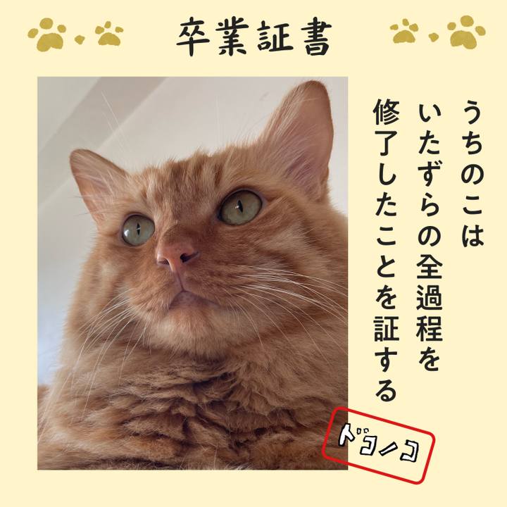 658da648 e305 4d46 9e3f bf2b371a85ee 1771843534175