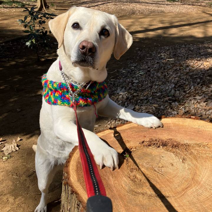 658dc412 0c00 4c1d beee 799e1fe74047 1677937133380