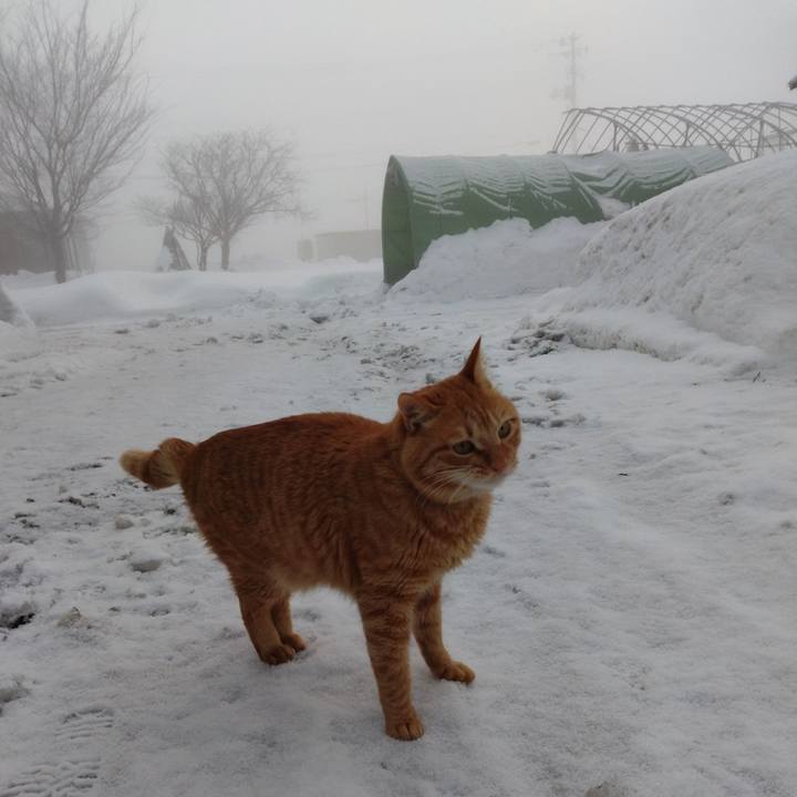 658dce3d 20a3 4dd4 a9bd b7c85dc247de 1673133215781