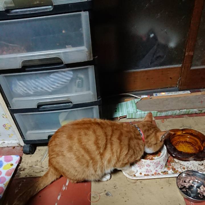 658e11fc 9c68 48de 9a3d f00ebd1ea1bb 1570996856803