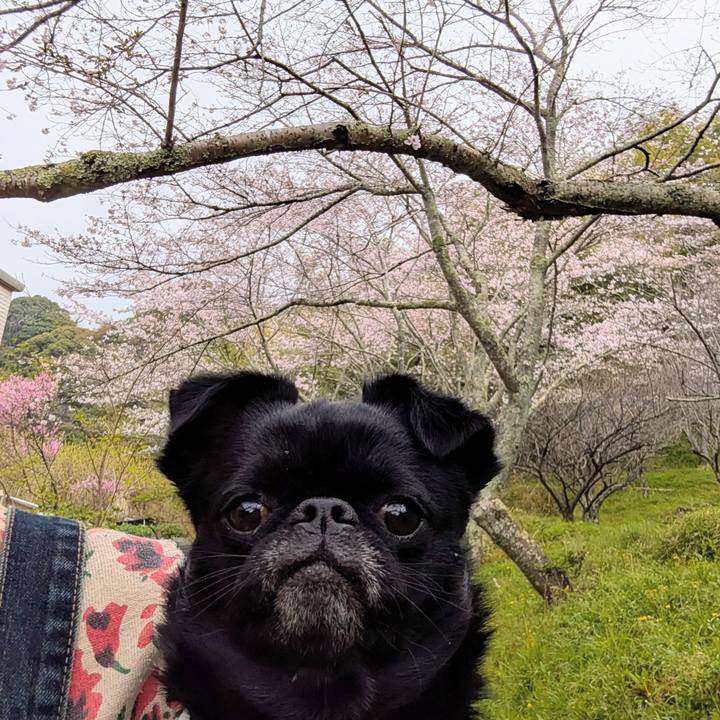 658e5913 0eb6 4c96 83cc a2014dd98be8 1774844290547