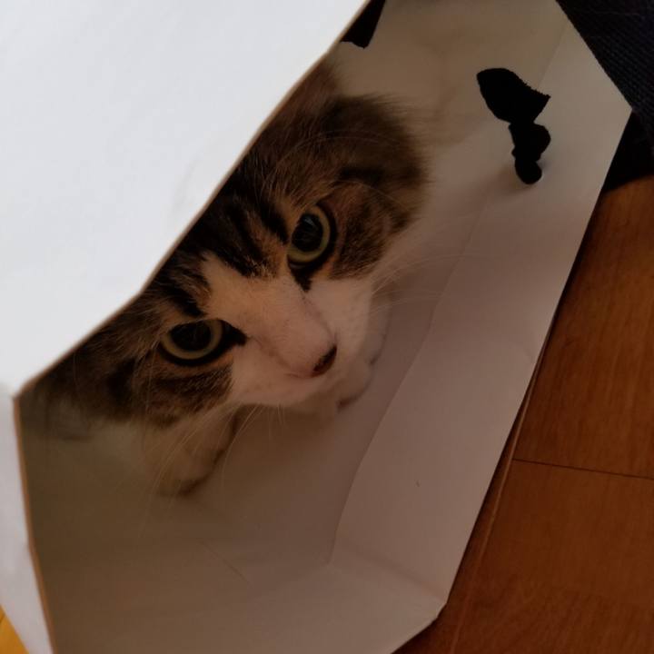 658e5948 b274 4741 853d f7dfef9be01c 1535500074076