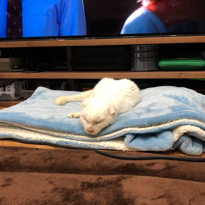 658e5af2 0115 4787 8adb df38a3ef6530 1621498736881