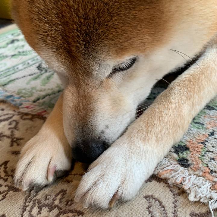 658e6a72 88cf 419e a2bc f6ef0445699c 1588504928679