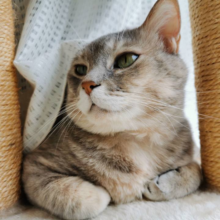 658e8bc5 d962 412f a541 f75d69ac292a 1668937810924