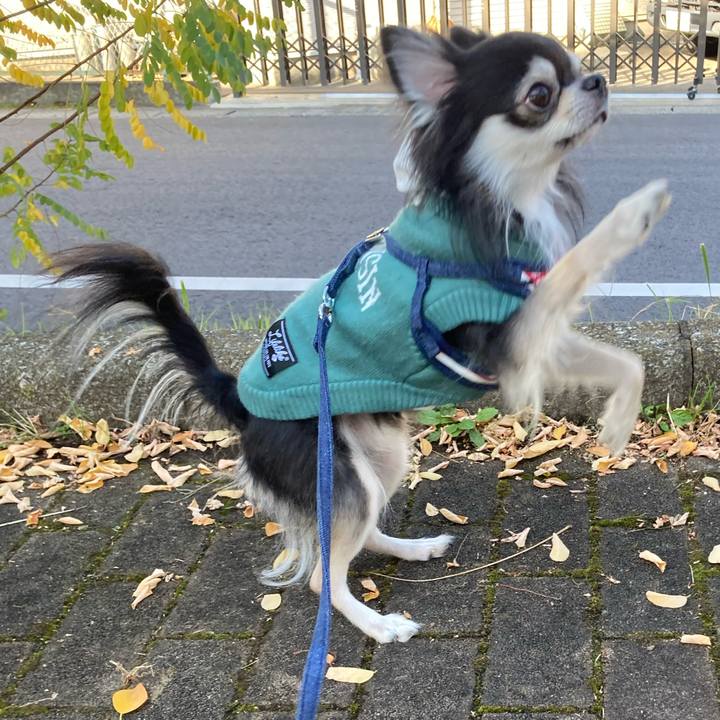 658ee582 2f0e 4f7b ab7c 3a66fb26260e 1668868878205