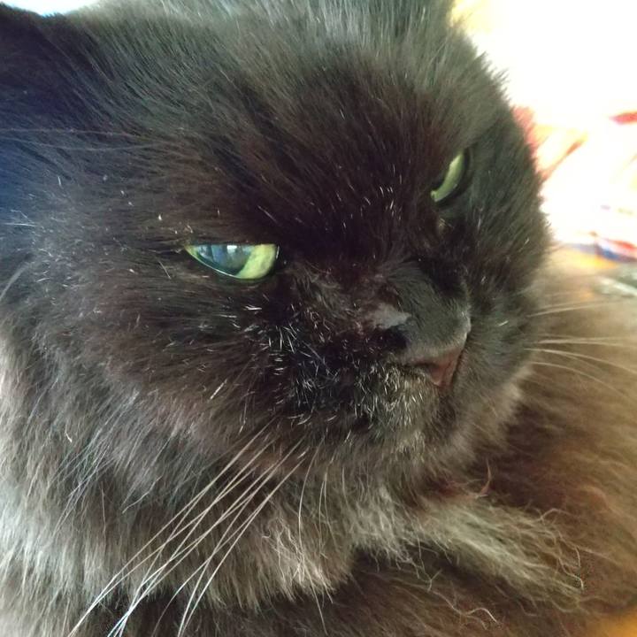 658eeb1e d7a4 4753 9212 2ef837283c02 1660171578457