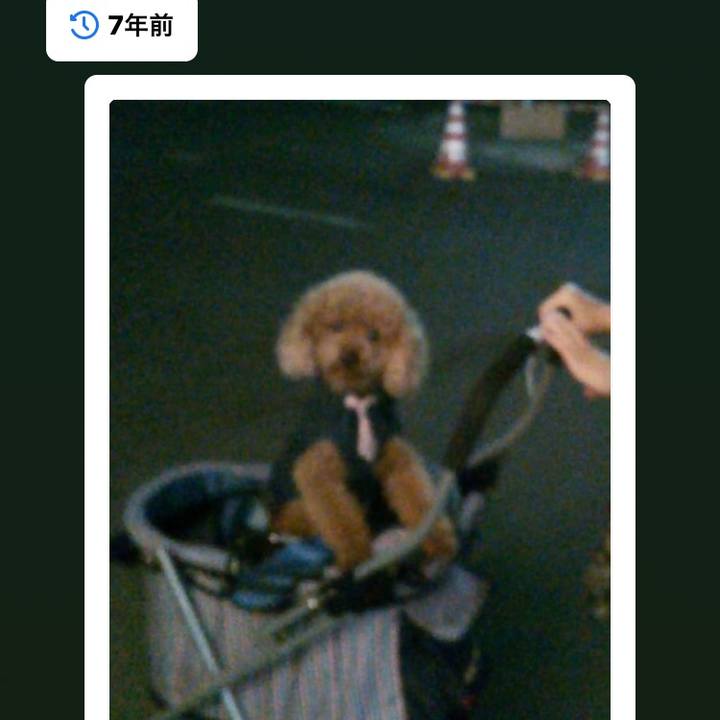 658eecab de37 4163 89d0 38866c09ea77 1591970176492