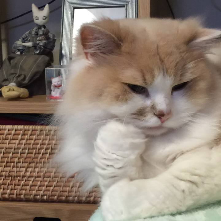 658f0430 a7cc 4525 a9c2 6e6afd522551 1563742117597