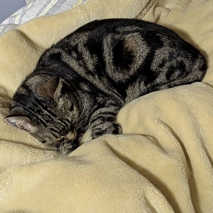 658f0e07 0503 4060 8d4b c43f0e7da970 1739531531738