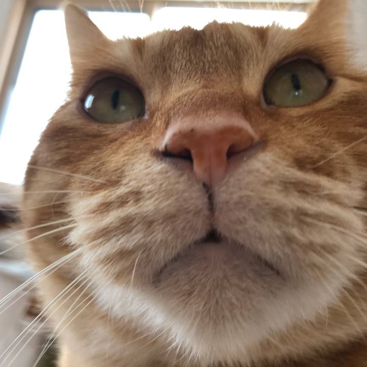 658f1fe3 4722 47b1 b10e 0037a5bf5736 1616403489633