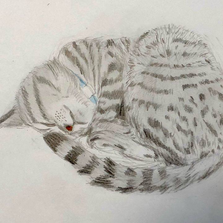 658f64d3 8cd7 4404 a76a 2257e1f0a606 1630541269620