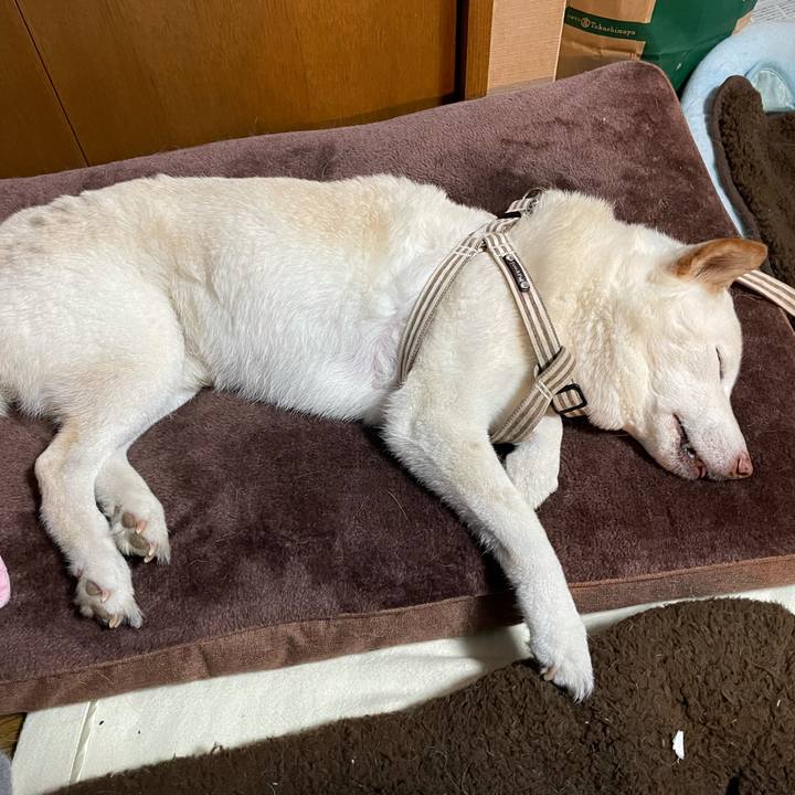 658f8d47 741f 4ba3 a830 e8863e5738cd 1636632354417