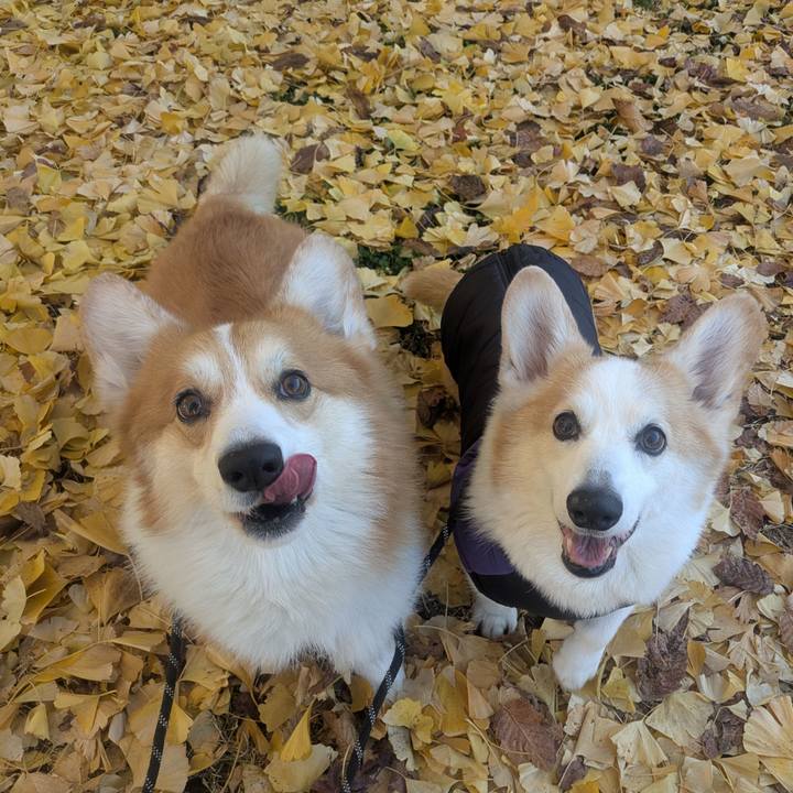 658fc751 2f82 4f30 b8dd 84401e146992 1765081535359