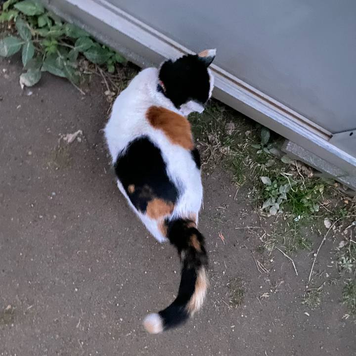 658fe8a3 0325 4826 a88c 0188583ce2aa 1640558716870