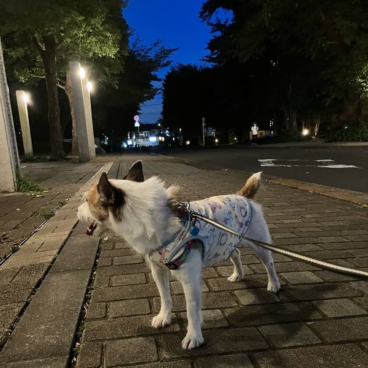 658fefbc 8c87 481e 9981 772a112b7fb1 1693620591231