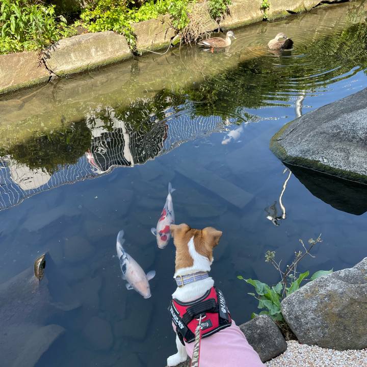 658ff7f5 ed5f 4262 ab54 789f6f4a7845 1679224462862