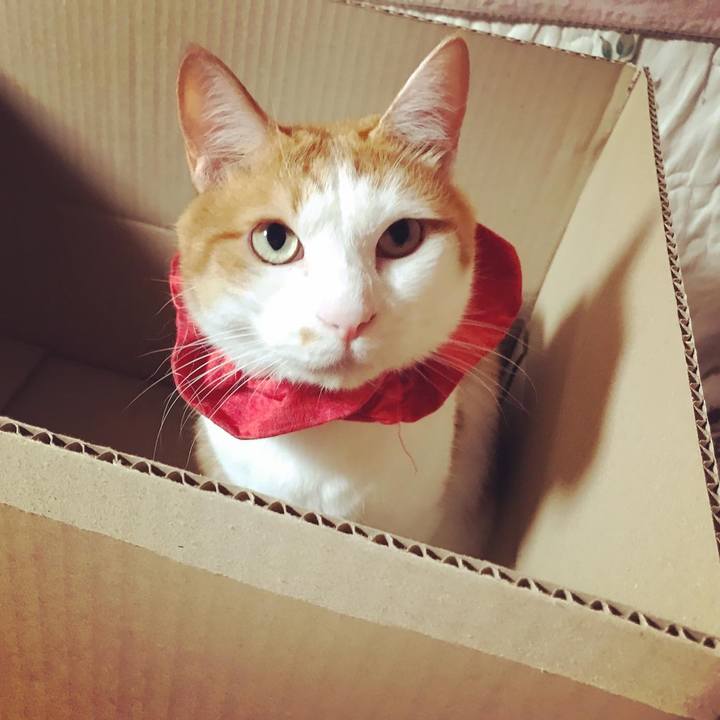 65900e0a c6de 42e4 90df eee230d5bd07 1628192053424