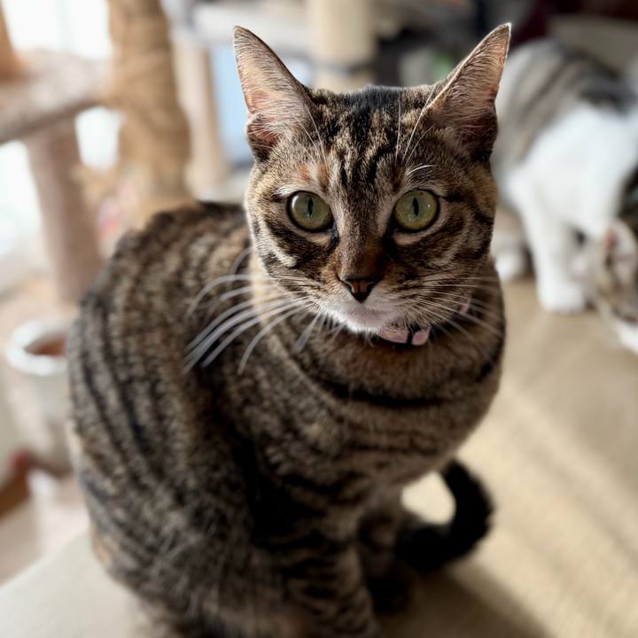 65901fe7 d4a9 4cd6 b5cf 7fa988684931 1770268080791