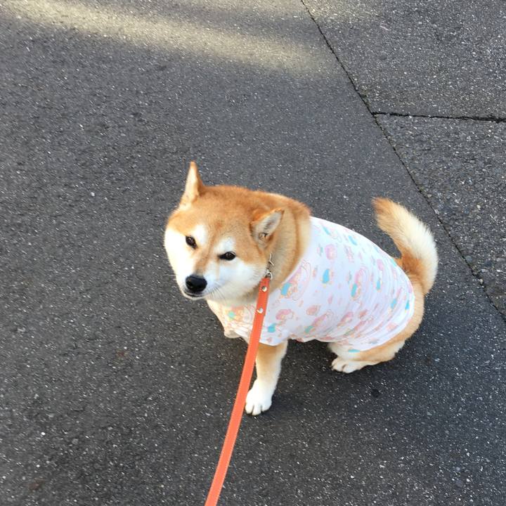 65903112 814d 48c3 ba09 0d54974e8fd6 1570579805971