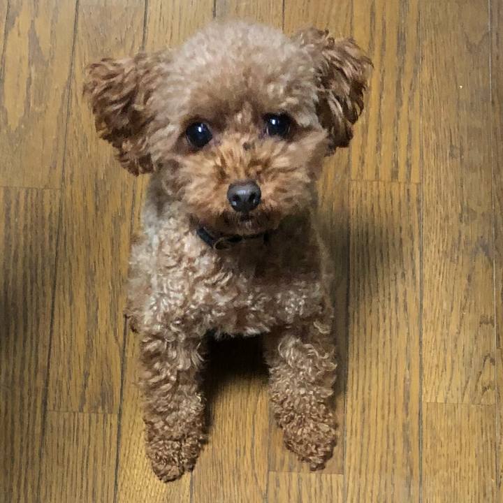 65903506 7ab4 4ded acf7 1e1f56ac0701 1544998627396