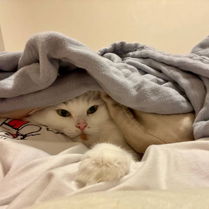 659062e1 fbb6 4c41 8674 319165b2f51e 1761488530623