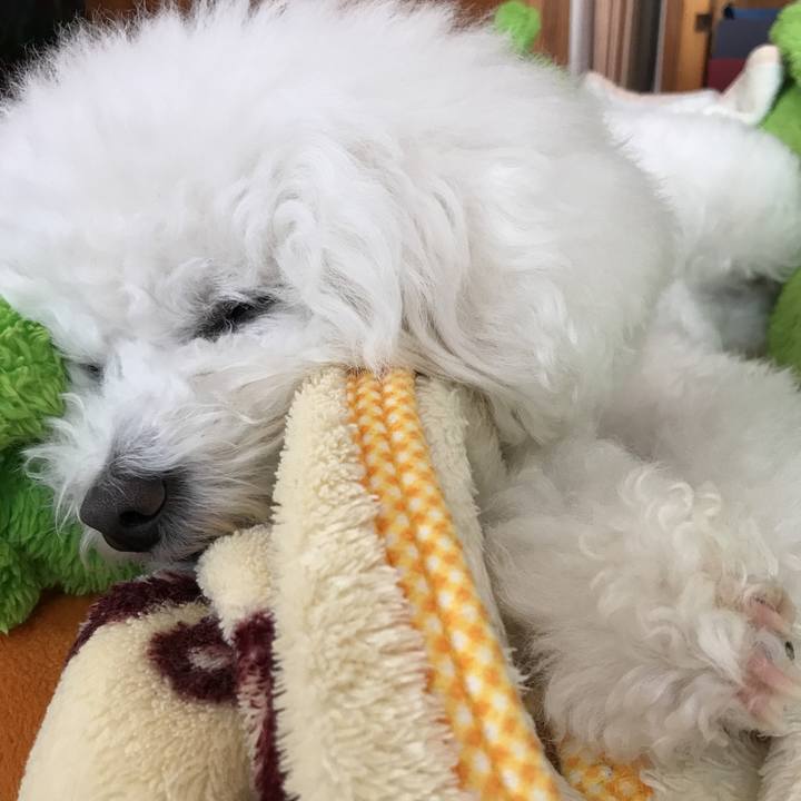 65909a57 27bd 44bd afa2 02784626e2d9 1585883615740