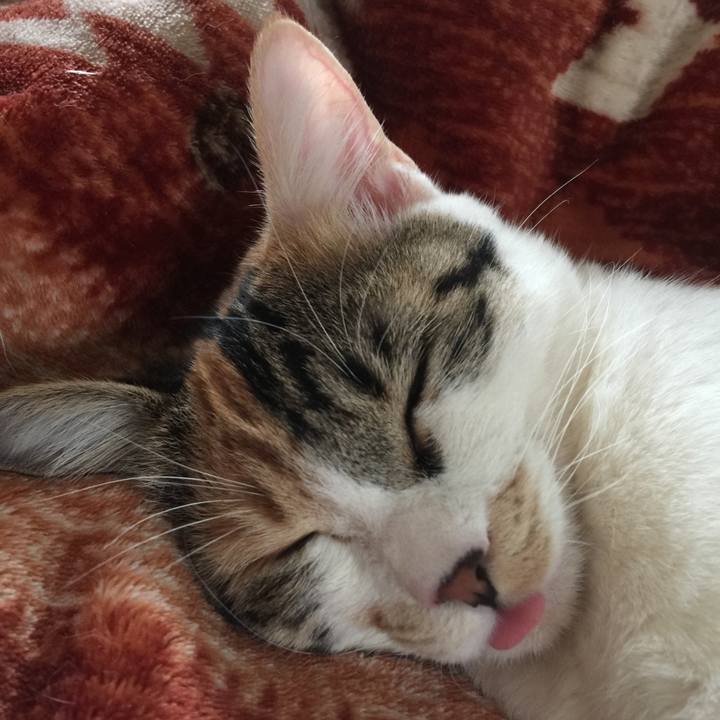 6590b0ff d1c5 4e35 a162 bfce6da0016c 1646122124517