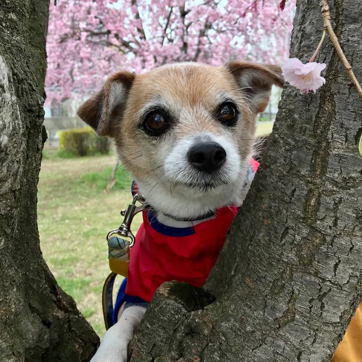 6590db44 12ce 4636 8c02 1ff75661e778 1648968603289