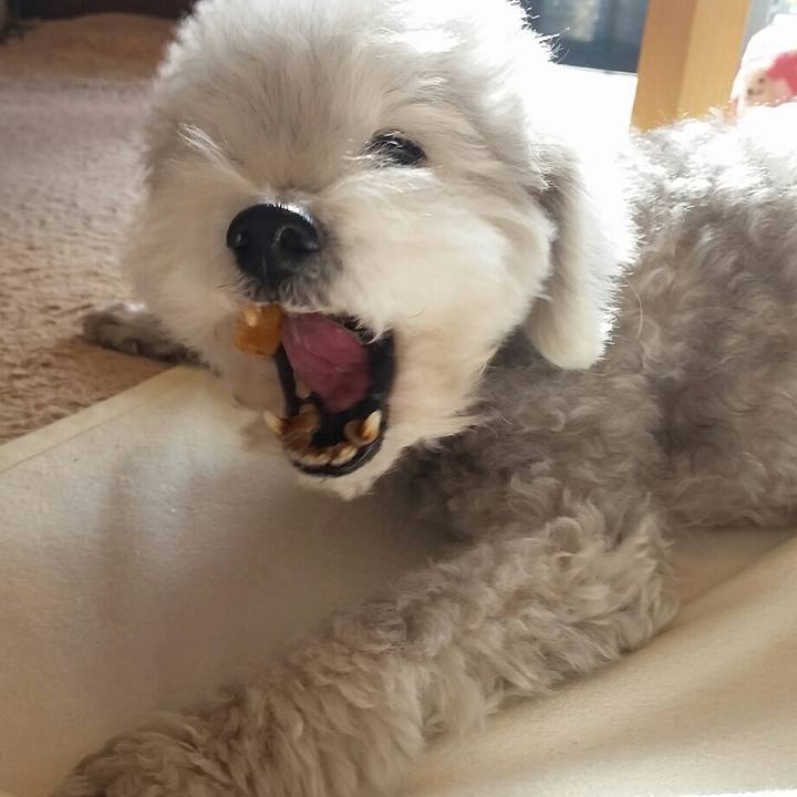 6590ed8f 8f5b 436e a228 4d2a9bb15e84 1618490833413