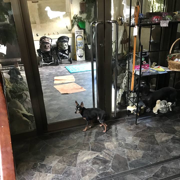 65911693 2ae8 40c0 a68f 8987169efb06 1534769259600