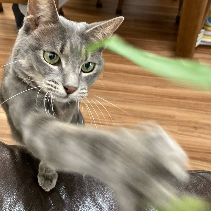 659116ae b5e3 4033 9b8f fecb87186a47 1661733769822