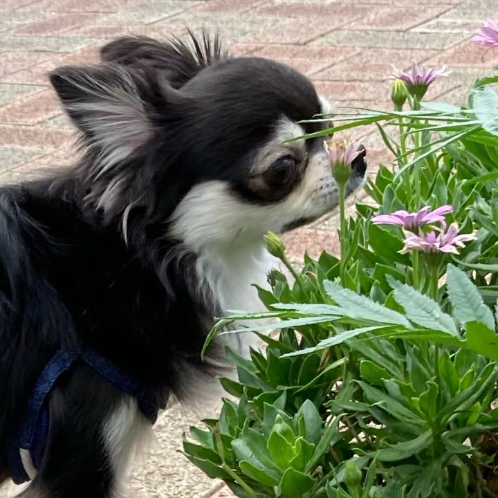 65911947 fced 4e7b 9531 95e485b93778 1656855942638