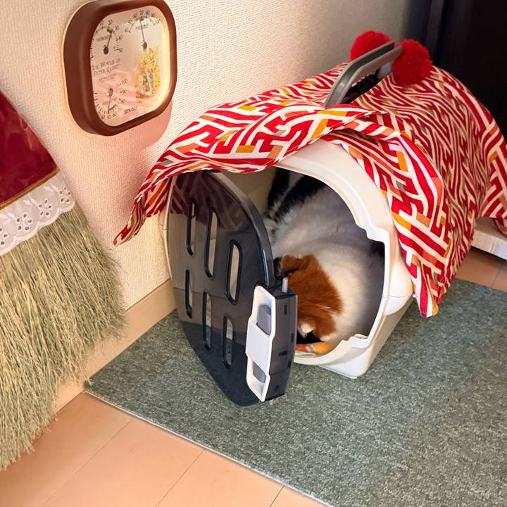 65915704 8407 41bb 879e 958d1c68ee0d 1761525439578