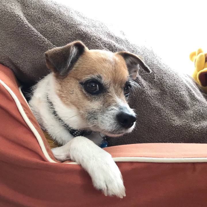 659184d2 6362 421c 9e19 e6cdcf384f98 1552721356258