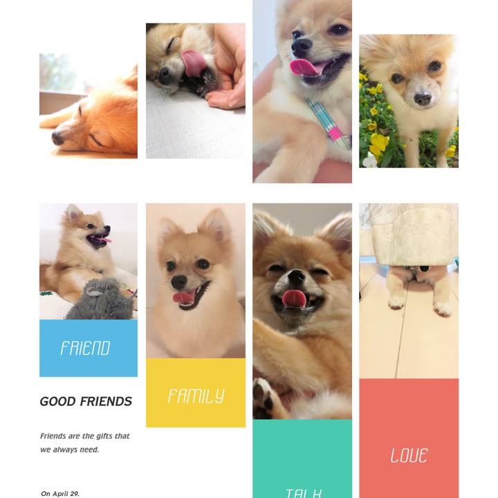 6591a009 129c 4289 b6a8 889a83926ae5 1518782344027