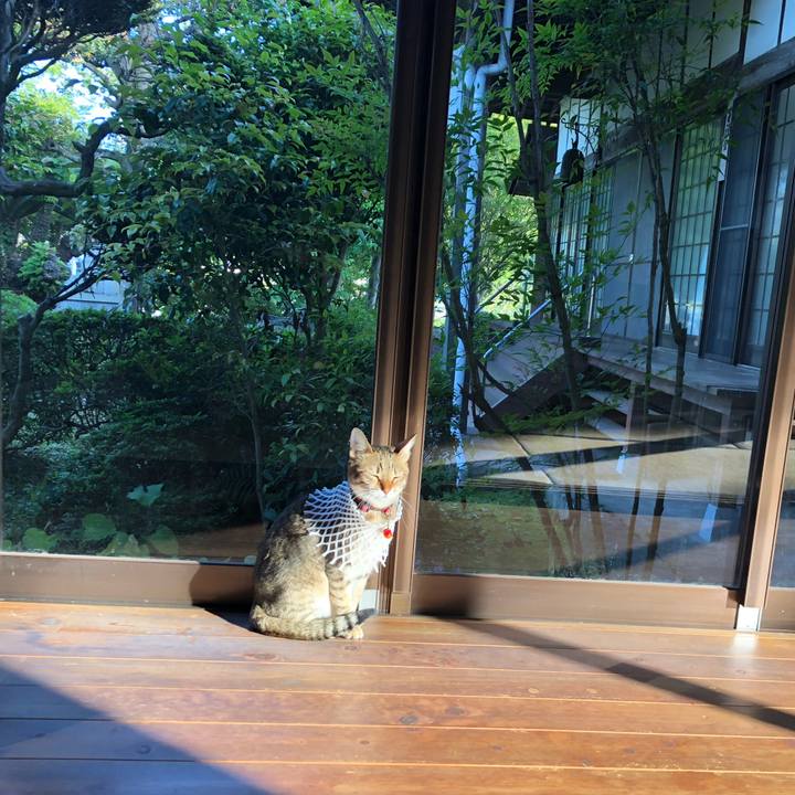 6591b78a be89 441b ae54 2f86bd63d2b3 1619826756873