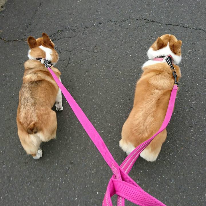 6591b7e6 24c8 46e8 b3ee 1cf6b0cf9a1e 1528769051252